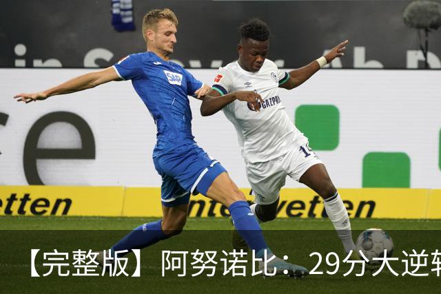 【完整版】阿努诺比：29分大逆转并绝杀太酷了 最后本来想补扣的