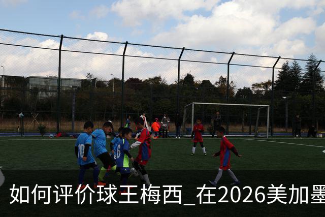 如何评价球王梅西 在2026美加墨世界杯的表现
