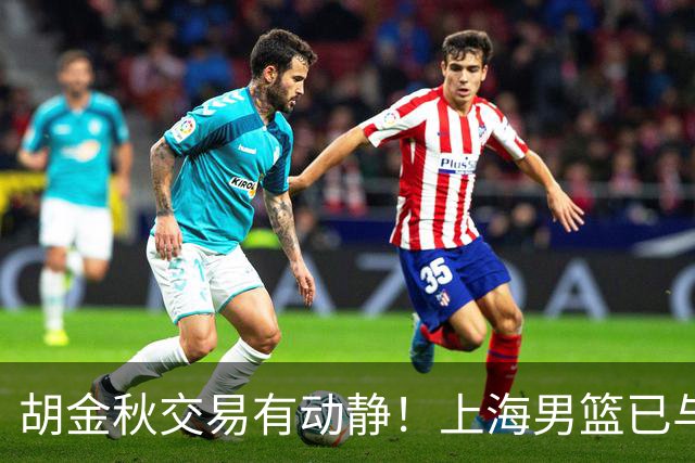 胡金秋交易有动静！上海男篮已与其达成共识，楼明欲整体盘出球队